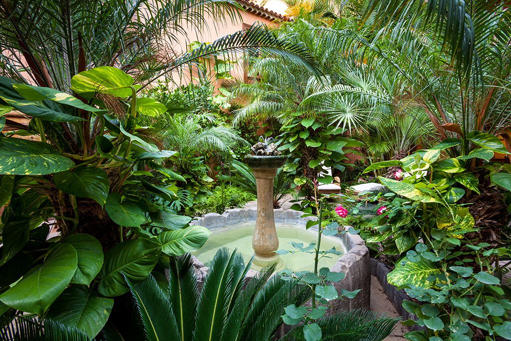Hotel Livvo La Quinta Roja Garachico  Bagian luar foto